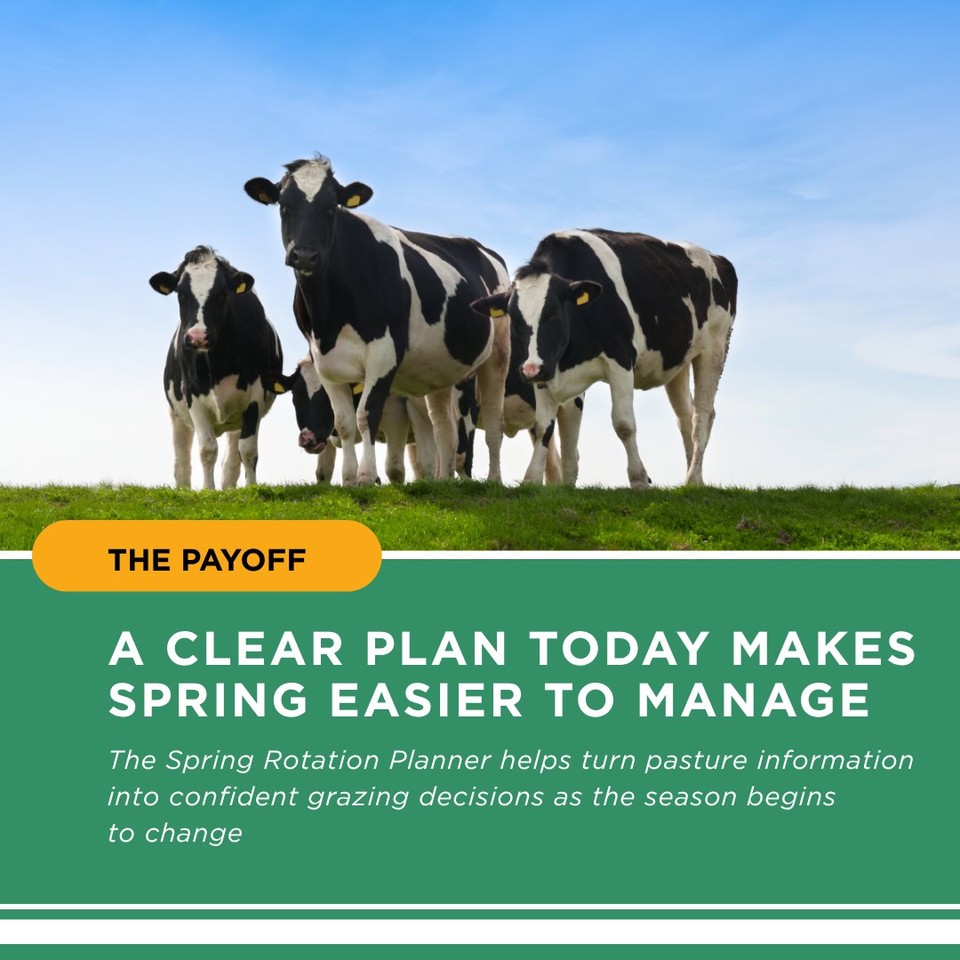 pastureio's tweet photo. 📊 Spring feed isn't built in spring, it starts with the decisions you make in late winter.
📖 Read the full guide to planning your first spring rotation 👉 https://t.co/FpqBtNsMOQ
#FarmTech #SpringGrazing #PastureManagement https://t.co/XqufSfKXW9