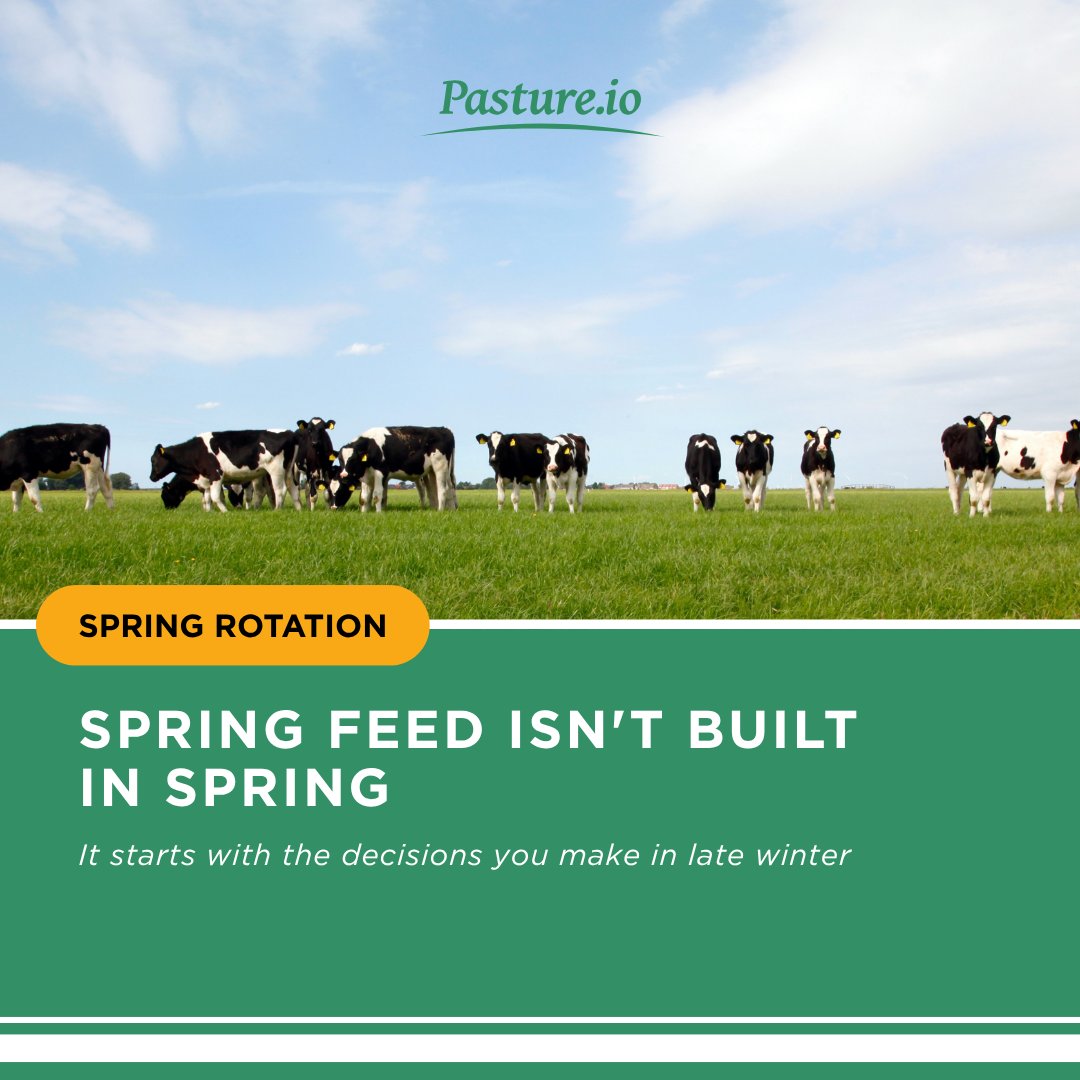 pastureio's tweet photo. 📊 Spring feed isn't built in spring, it starts with the decisions you make in late winter.
📖 Read the full guide to planning your first spring rotation 👉 https://t.co/FpqBtNsMOQ
#FarmTech #SpringGrazing #PastureManagement https://t.co/XqufSfKXW9