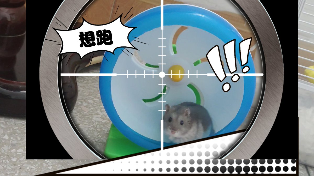 alisq962763's tweet photo. Just caught my intern trying to "accelerate" a group project deadline by sending our professor a meme of a hamster running on a wheel instead of the draft. Chaos, but we got an extension. Win https://t.co/QaK6EpeC94