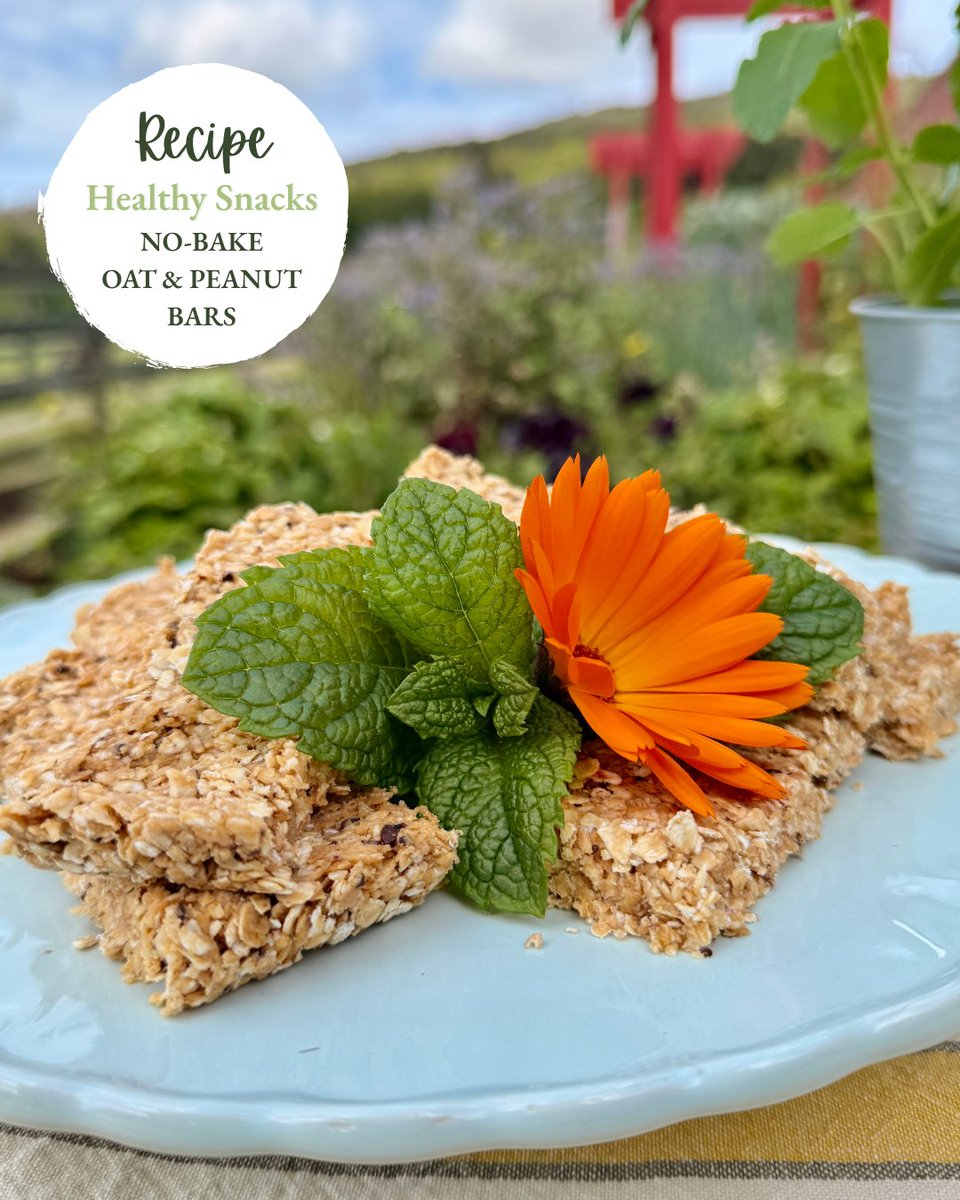 BallyknockenHCS's tweet photo. 🥜 No oven, no fuss! These No-Bake Oat &amp; Peanut Bars are such an easy homemade treat.

Oats, peanut butter, honey, vanilla + a little espresso ☕️ Simply mix, press into a tin, chill for 2 hours &amp; slice.

Full recipe here 👉 https://t.co/5xRUlIKSfc

#NoBakeRecipes https://t.co/gHQw3tEpzx