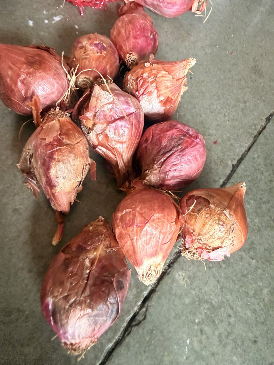 TravelSeeWrite's tweet photo. @ZeptoNow i am unable to upload the pictures of the stale products delivered by you. This is happening too often. Why are we being charged for rotten products and there’s no way i can complain. Your app isn’t working. @zeptocares https://t.co/8ZKTFkvvGs