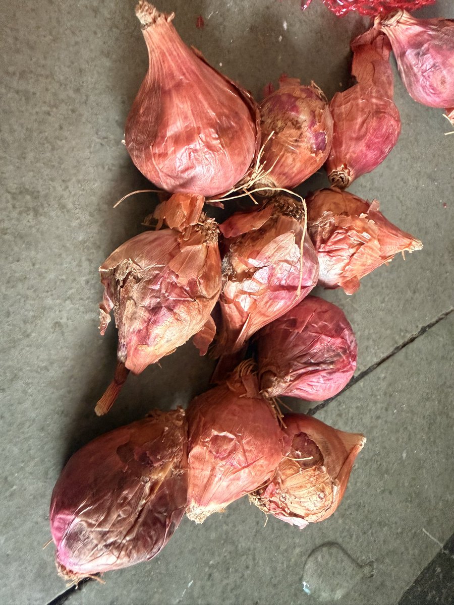TravelSeeWrite's tweet photo. @ZeptoNow i am unable to upload the pictures of the stale products delivered by you. This is happening too often. Why are we being charged for rotten products and there’s no way i can complain. Your app isn’t working. @zeptocares https://t.co/8ZKTFkvvGs