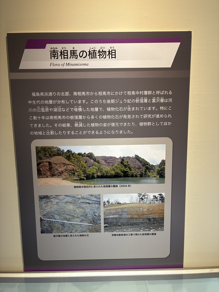 oshikiri_kun's tweet photo. 福島では高速道路を作る時に化石が発見されてたらしい💡
だからいわきの方でいっぱい見つかったのか😳
また1つ賢くなった🧠 https://t.co/sOrIrYsNIu