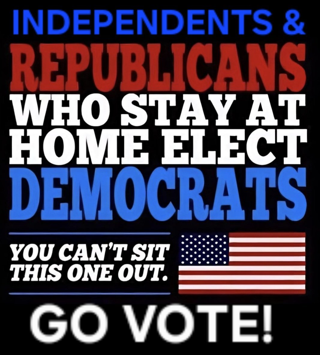 NCAngieKay's tweet photo. @MichelleMaxwell I'll keep sharing this until every city, county, state, and Federal primary  &amp; EVERY election is too big too rig! 

Sitting it out is NOT an option if you care about America and your rights! https://t.co/FfuNpDZ58G