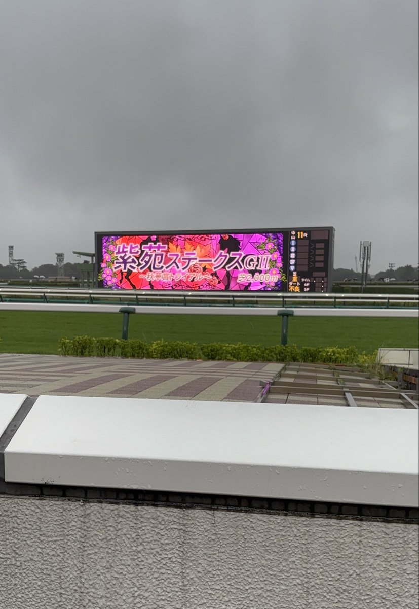 Kodzu_uma's tweet photo. 初めての中山競馬場に行ってきた！
雨だったからか思ってたよりも人が少なかった
晴れてたらもう少し人が多くなるのかな？ https://t.co/ZQGFBY0xxY