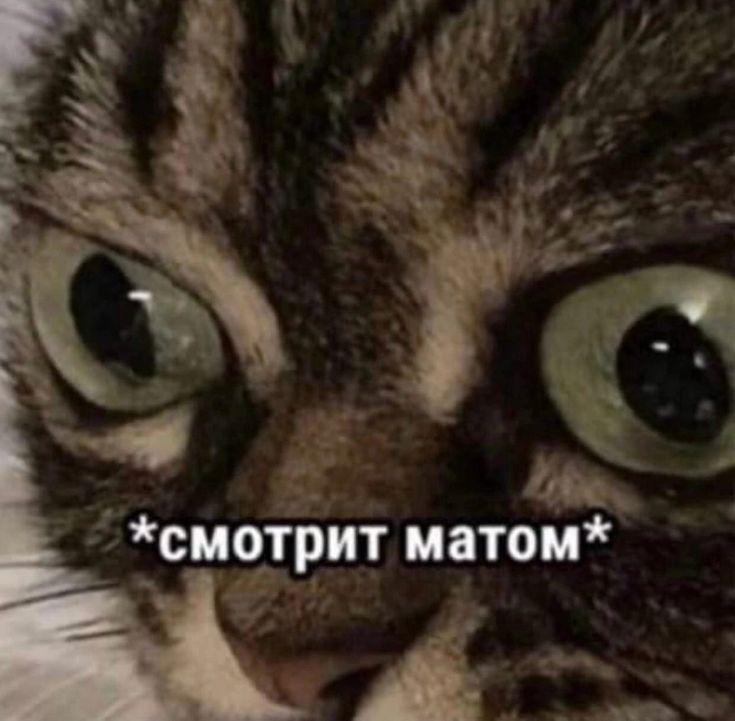 ghost24131069's tweet photo. Типикал я примерно всегда https://t.co/Eq3JARfVso