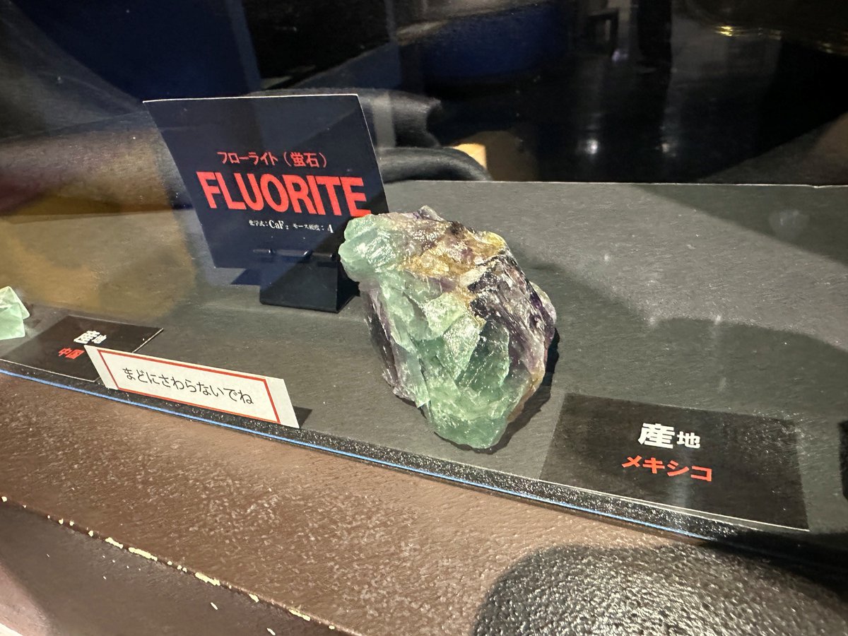 pegaroku's tweet photo. 【フローライト 実物展示中！】
多摩六都科学館の「ちきゅうラボ」の窓に、再びフローライト（fluorite）を展示しました。

フローライトは、日本名で「蛍石（ほたるいし）」といいます。緑や紫など、さまざまな色のものがあります。
「フローライトって、どんな鉱物なんだろう？」と思った方は、ぜひ展示室5「地球の部屋」に見に来て下さい。 蛍光する蛍石も展示しています。

蛍石の蛍光や展示については、ロクトレポートでも紹介しています。 こちらもあわせてご覧ください。（地学班）
https://t.co/bhezIdpT3E

#多摩六都科学館 #フローライト #蛍石 #鉱物 #超キレイ