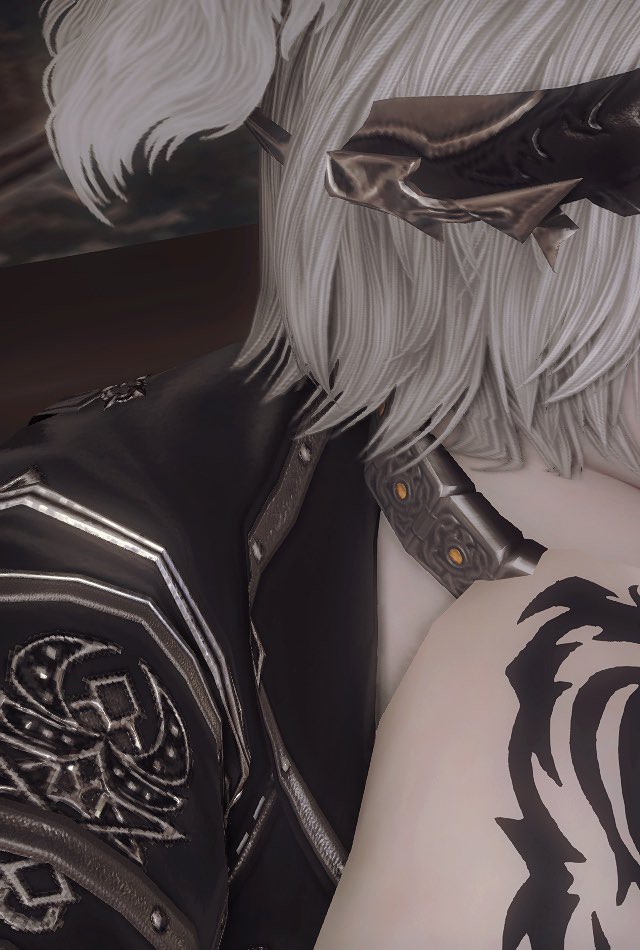 DanSol_ff14's tweet photo. 🩶 https://t.co/wGgBY3Mqbw