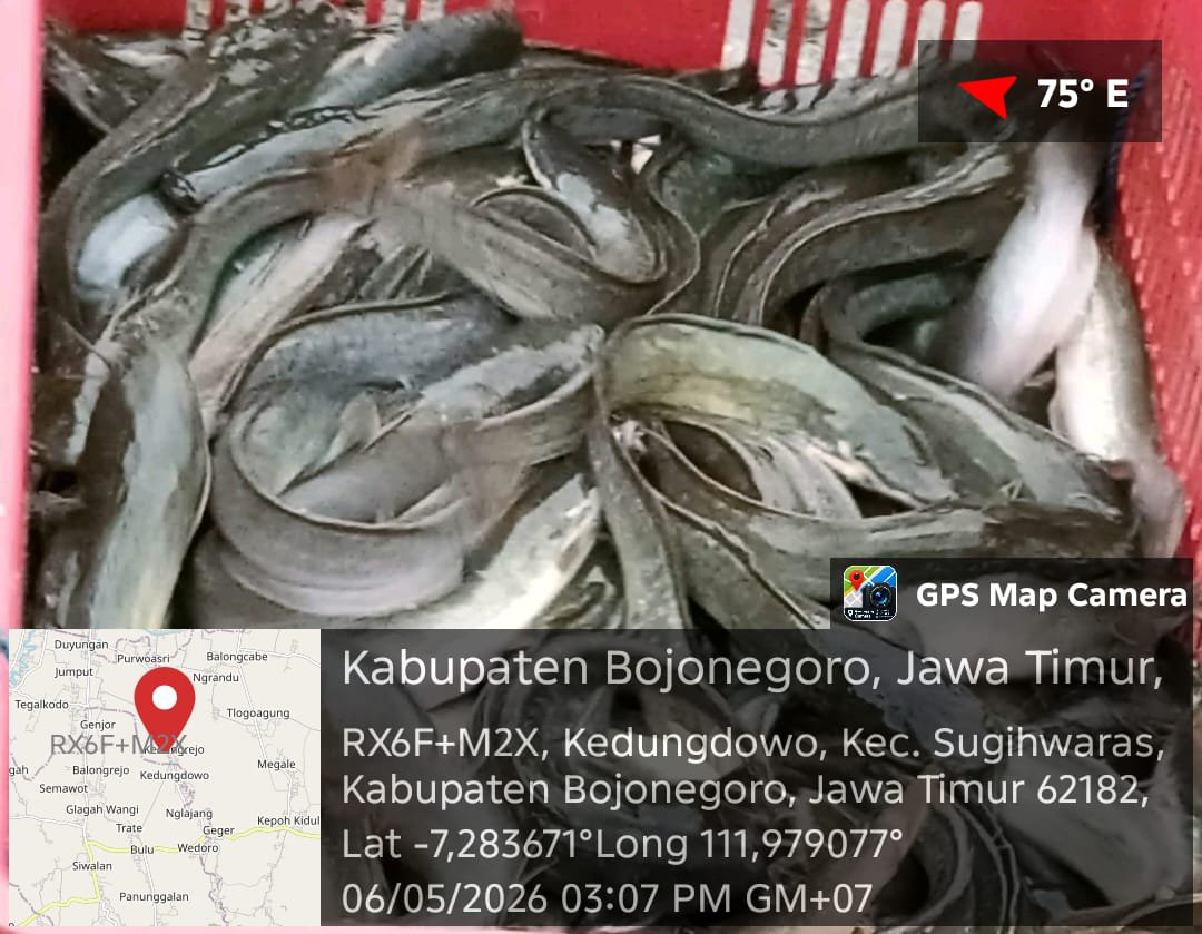 jul_kiflie's tweet photo. Akses informasi tentang Dukungan Pembiayaan Kredit bagi usaha sektor KP di Pokdakan Rukun Sentosa, Desa Kedungdowo, Kec. Sugihwaras, Kab. Bojonegoro tgl. 06/05/2026
@DouWaki1980 https://t.co/5vFqWUjRew