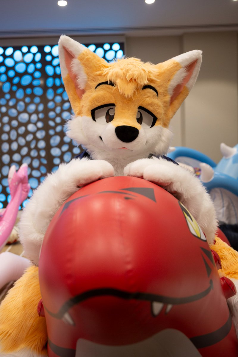 YapsFox's tweet photo. *squeaky noise* 🎈 💨 🦊⚪🟠
📸: @ShujjaWuff
#SqueakySaturday #Fox #baloon #pooltoy #bouncy #fursuit https://t.co/JwzDV11sYo