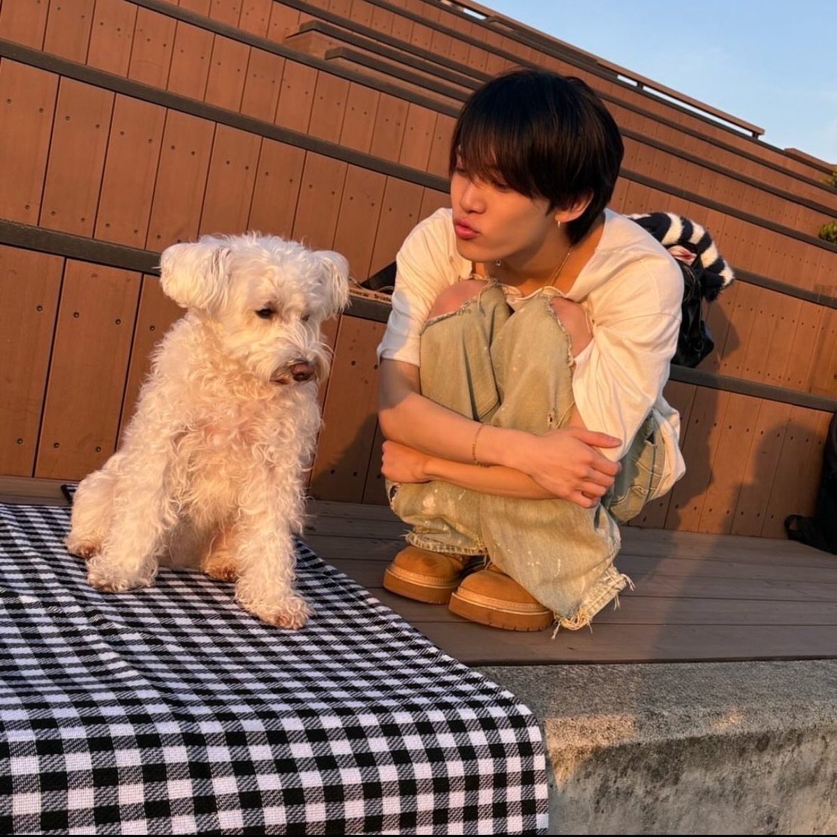 o120wan's tweet photo. 今日は何の日ぃ〜？くろちゃんの日➰🩶ゎꩢゎꩢ🐕 ͗ ͗( ͜🌟 ･ω･) ͜🌟 #くろちゃんの日  #黒田光輝の日 https://t.co/1yoA4fNxLq