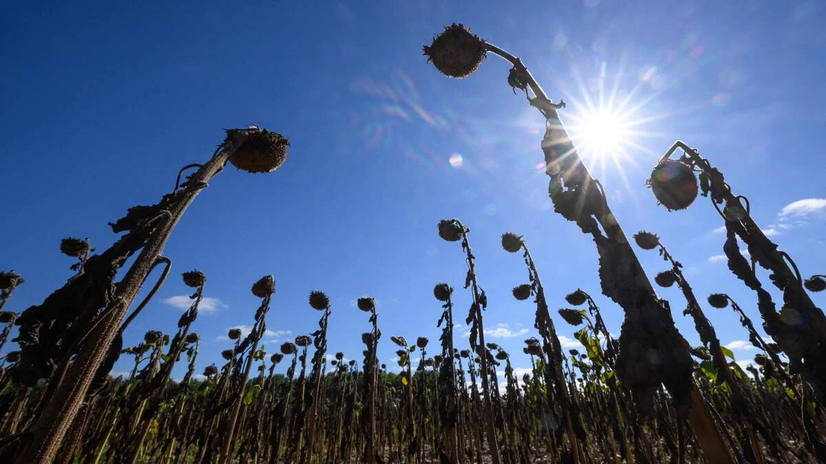 Nieuwsblad.be on X: "Frankrijk puft bij 39 graden en kondigt zondag en  maandag code oranje af in zes departementen: Frankrijk heeft zondag code  oranje afgekondigd in zes departementen in het zuiden en