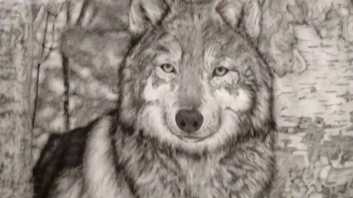 gerardsolers's tweet photo. Que tengáis un domingo espectacular
Aprovecho el tranquileo de hoy para dejaros un trozo de mi mundo y de mi arte🖌️✨🎨
Que vaya súper bien el día 

#Arte #Hiperrealista #SarriadeDalt #Wolf #SarriadeTer #LGBTI #España #Pride #Catalunya #GerardSolerSenen https://t.co/oXMhi5ASIi