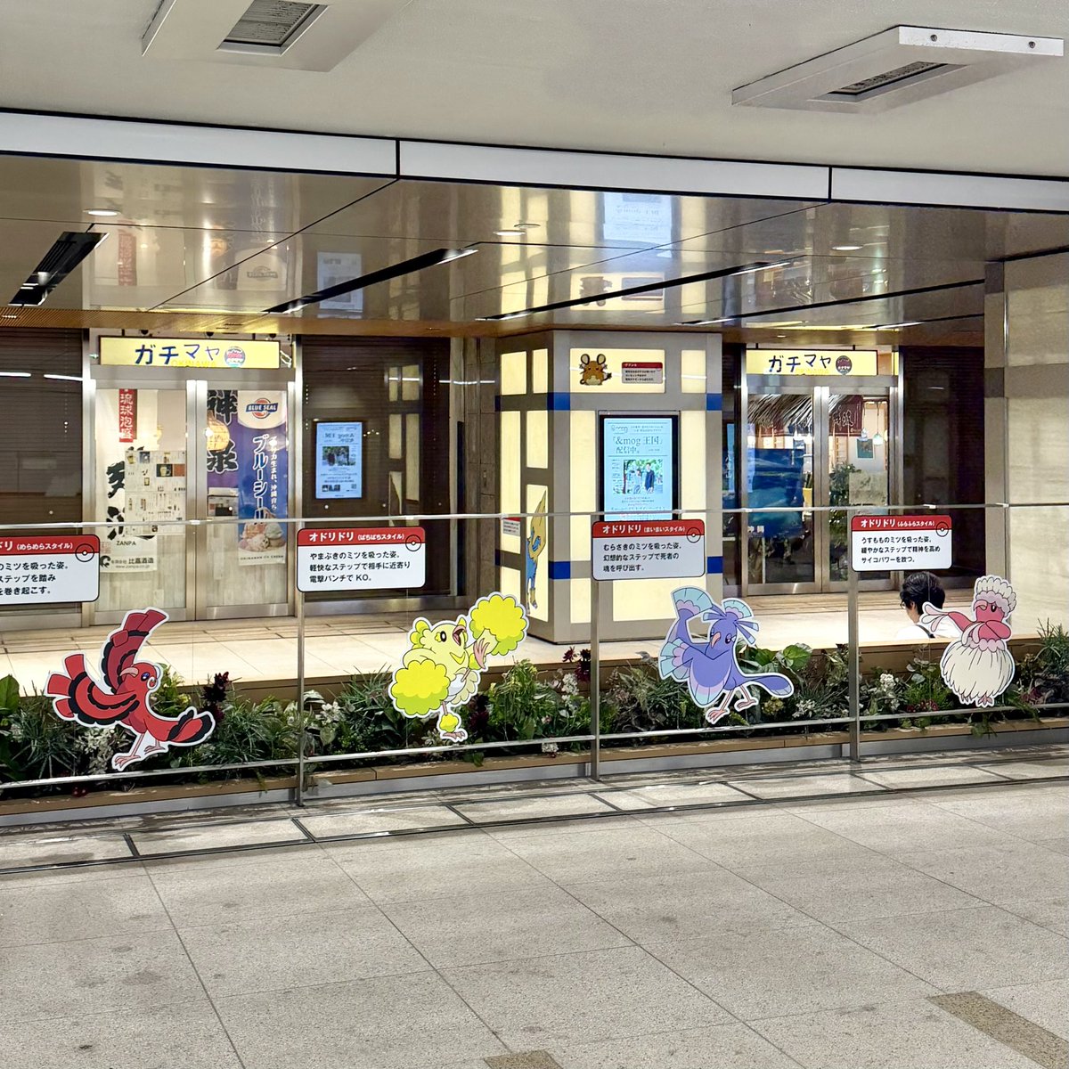pikachu_pcn's tweet photo. デデンネやパモなどポケモンたちが集まってきているようです

9月9日（水）からスタート
伝説のポケモンと出会う レジェンドリサーチ in日本橋＆八重洲 https://t.co/8dNms3VBmy