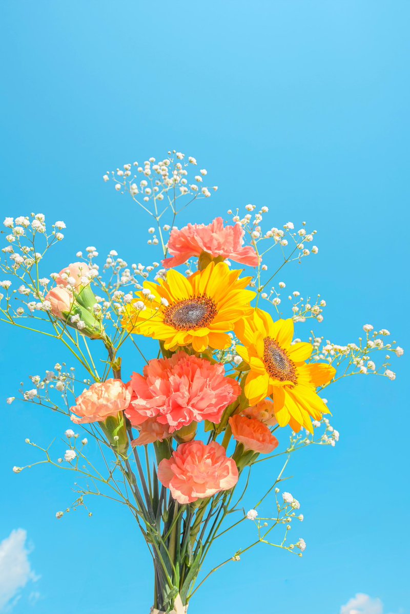 Noah_photobook's tweet photo. お花に癒されたい人に届きますように。 https://t.co/tWqDBlP2XE