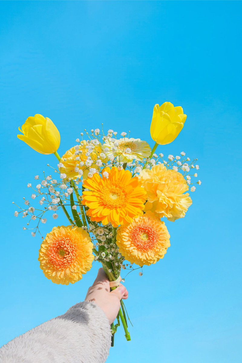 Noah_photobook's tweet photo. お花に癒されたい人に届きますように。 https://t.co/tWqDBlP2XE