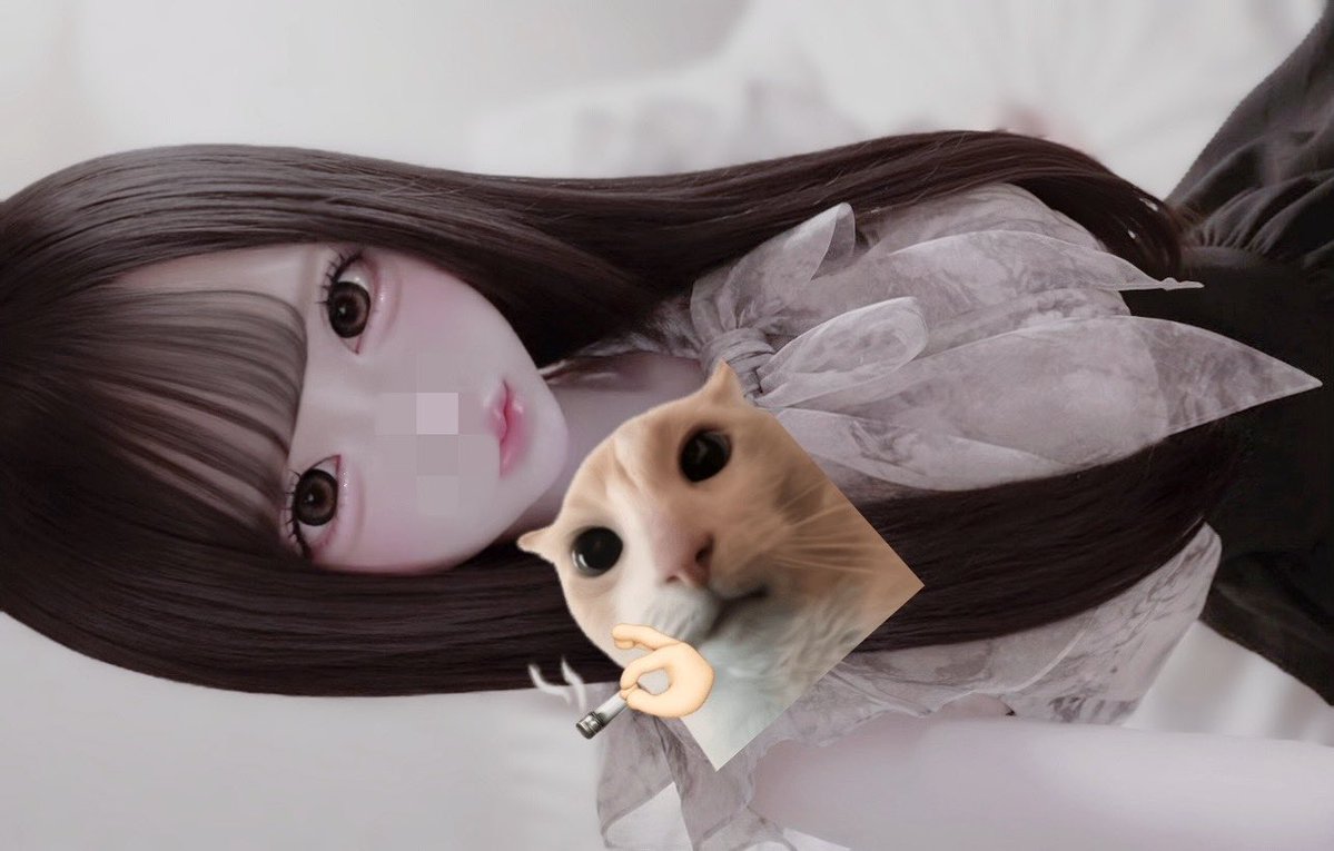 complexentsty_'s tweet photo. にゃん https://t.co/3NSRF8mxR7