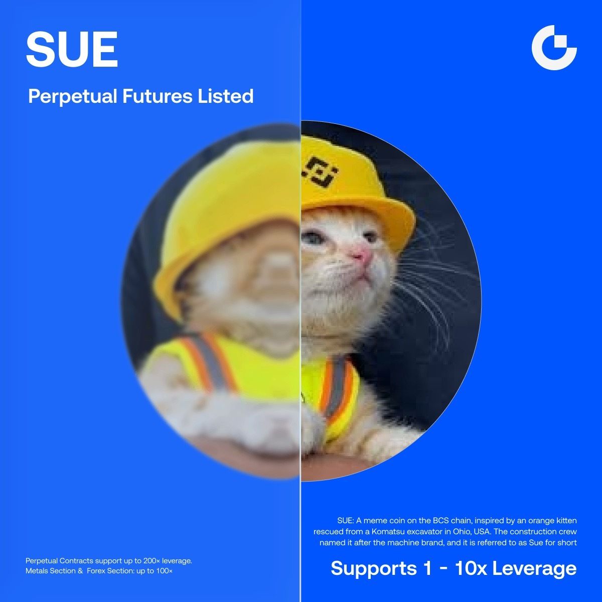 Gate's tweet photo. Gate Futures Meme Zone New Listing: $SUE

🔹 Trading Pair: $SUE / $USDT
🔹 Trading Starts: Now Open
🔹 Supports 1 – 10x Leverage, Bots and Copy Trading

SUE: A meme coin on the BCS chain, inspired by an orange kitten rescued from a Komatsu excavator in Ohio, USA. The construction crew named it after the machine brand, and it is referred to as Sue for short.

Trade $SUE: https://t.co/qzt6Wfv41e