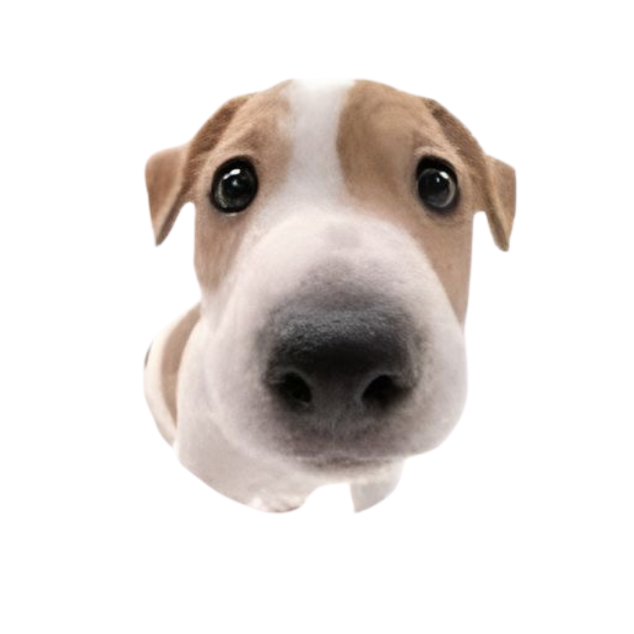 marvius_studio's tweet photo. kindly rt before use ♥️

📁 png : 🐶 

#แจกpng https://t.co/zn4kNJOJjt