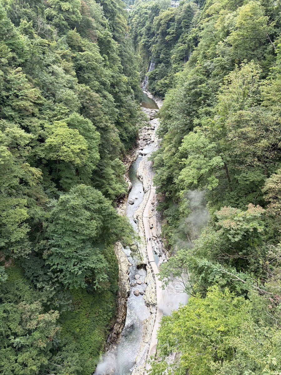 extends_inori's tweet photo. 大地の息吹を感じる小安峡、橋上からの眺めで高所恐怖症気味に😱 https://t.co/4OD2C2cOTr