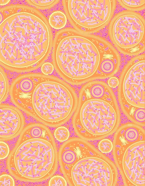 HealthyAlfred's tweet photo. a chewing gum that KILLS bacteria behind cancer, Alzheimer’s and heart disease — and leaves the rest alive.

Mastic gum:

→ kills H. pylori — Group 1 carcinogen
→ kills P. gingivalis — Alzheimer’s brains
→ kills F. nucleatum — colorectal tumours
→ kills S. mutans — cavities
→ kills Candida
→ kills E. coli
→ kills Staph aureus
→ penetrates oral biofilm
→ zero resistance in 3,000 years
→ lowers cholesterol and LDL
→ reduces liver enzymes
→ halved Crohn’s activity in four weeks
→ relieves dyspepsia — 148 patients
→ drops TNF-α and IL-6
→ protects the stomach lining
→ builds the jawline
→ kills selectively — spares the good bacteria
→ killed 6 different cancer types in vitro
→ approved by the EMA
→ listed by UNESCO
→ published in the NEJM
→ breaks membranes — nothing to mutate around

only grows on southern Chios. plant the same tree fifty kilometres away and it stops.

one tree gives 150 grams a year. forty years to full production.

under the Ottomans, stealing it carried the death penalty.

you’re chewing a tree’s immune system.

your doctor still hasn’t said the word.

🧵 how I take it in the comments ↓