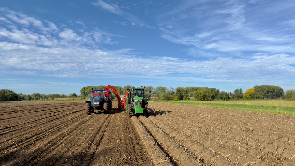MWezemael's tweet photo. #vrtweer #weerfoto #wolken #zon #wind #herfst #Kastel 10u00 https://t.co/kDZTebbZHR
