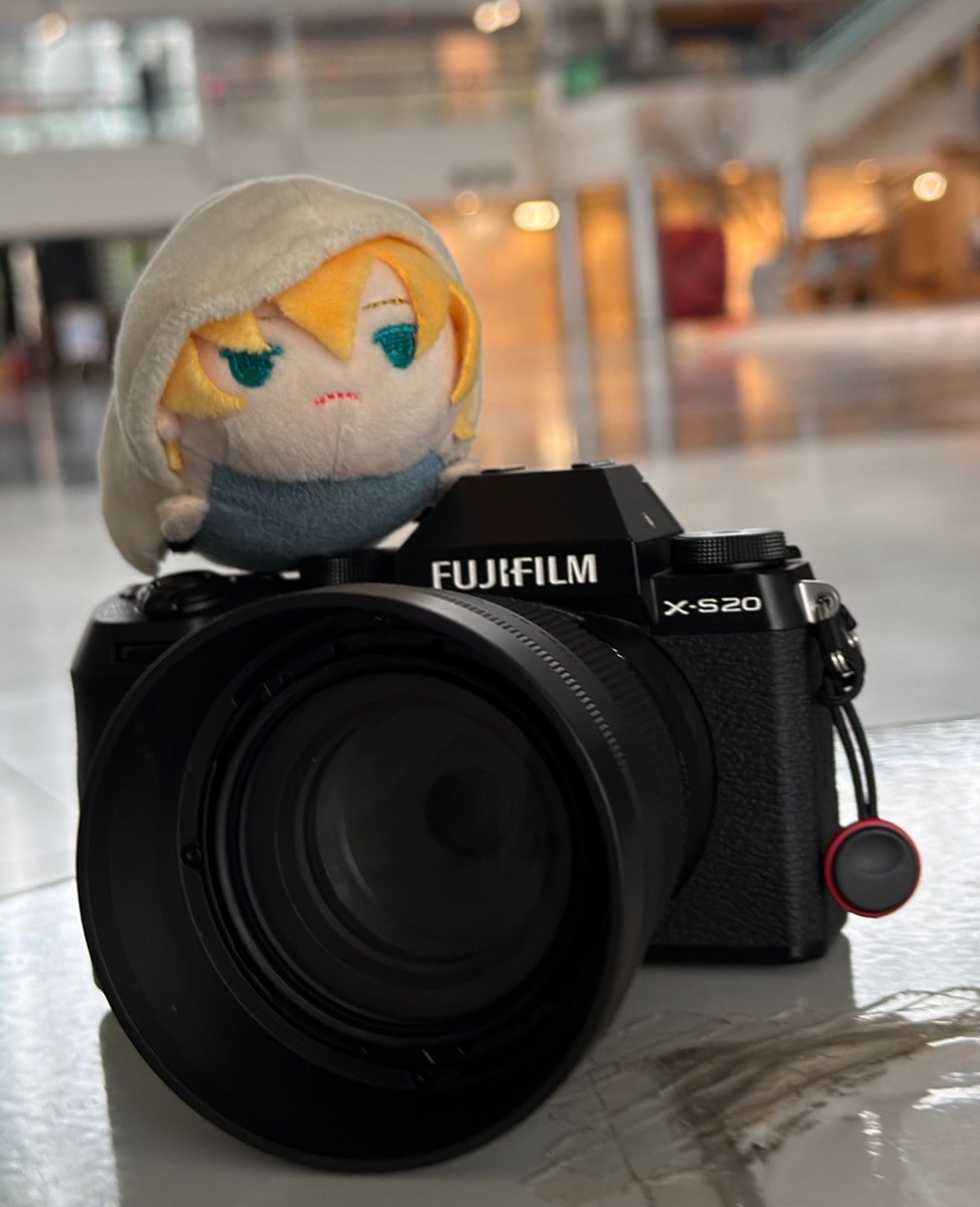 nimu_ra_'s tweet photo. にごちゃんの専属カメラマンしてました✨️ https://t.co/pNLuetxLA3
