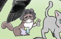 miffiyomi's tweet photo. omisel so cute 😿😿😿 he's trying to clean levs butt.... so caring of him 😔😔😔😔😔 https://t.co/6svNdKQkt5
