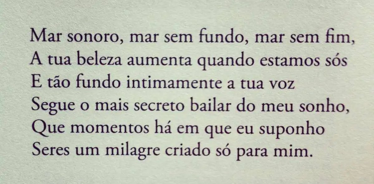 mar_inquieta's tweet photo. ✒️Sophia de Mello
(En español, versión de Nidia Hernández) https://t.co/sun6eJoBic