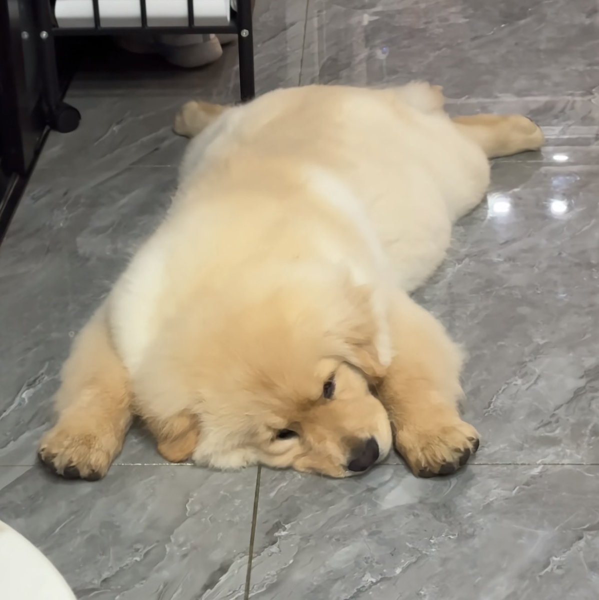 takemybear's tweet photo. มีแต่คนใจร้าย ข้าวสามมื้อมันจะไปพอได้ไง https://t.co/Gy7DgoEgyS