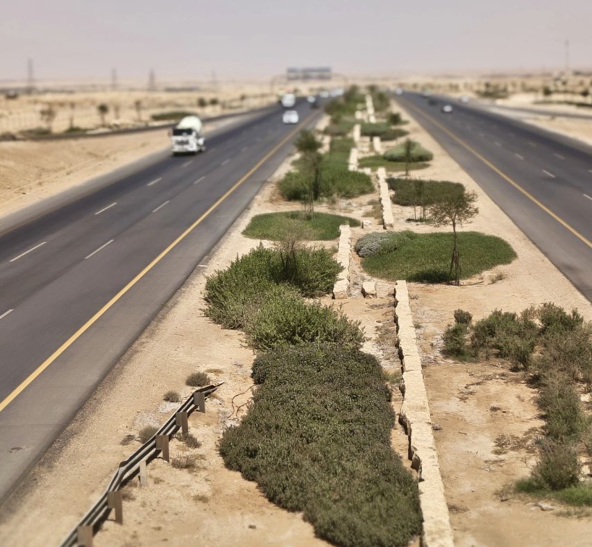 SaudiProject's tweet photo. ملامح من أعمال تشجير طريق صلبوخ في مدينة الرياض، ضمن مستهدفات تشجير الطرق التي ينفذها برنامج #الرياض_الخضراء، بهدف الارتقاء بجودة الحياة وتحسين المشهد الحضري للطرق https://t.co/YvbE06TfnK