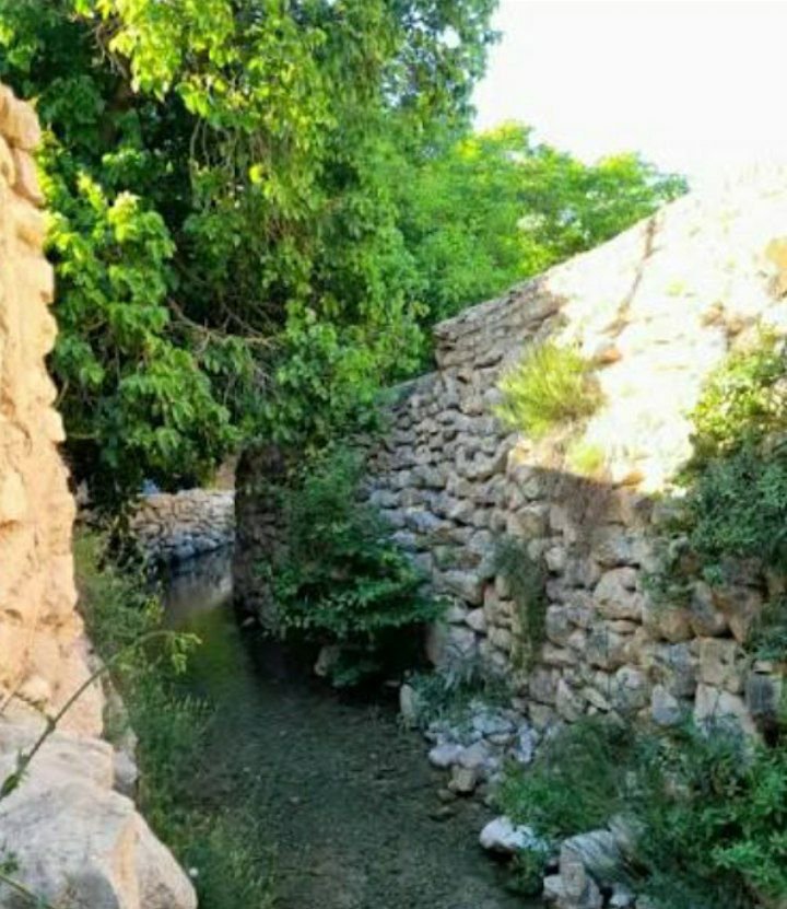 AshrfyNrgs's tweet photo. اگر به دنبال زیبایی هستی آن را در طبیعت خواهی یافت

مختومی

#سرزمین_گنجینه_فرهنگ
#شیروان_گنجینه_فرهنگ https://t.co/uFy9NSPbhC