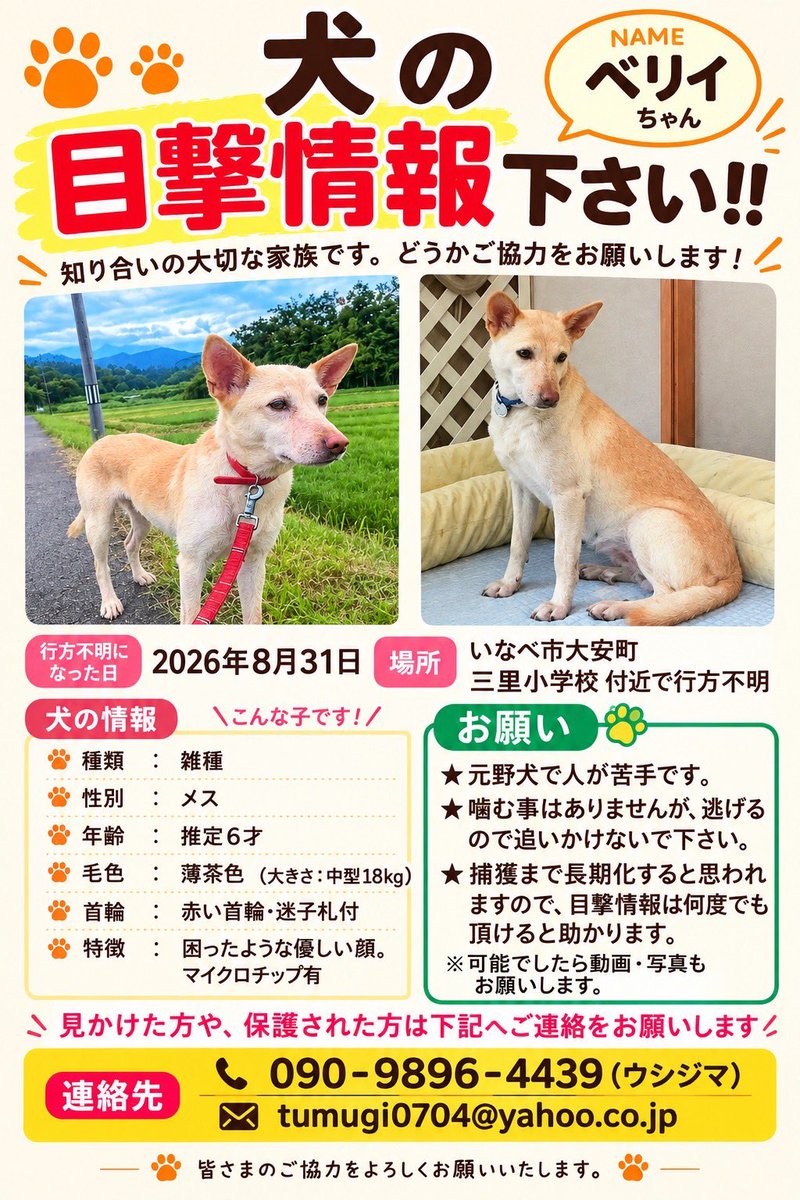 KuroseNobuaki's tweet photo. 【迷子犬を探しています。ご協力をお願いします】
知り合いの大切な家族であるワンちゃんが、行方不明になってしまいました。
飼い主さんも必死に探されていますが、まだ見つかっていません。
どうか皆さまのお力をお貸しください。
拡散もご協力いただけましたら幸いです。
#いなべ市
#大安町
#迷い犬 https://t.co/4IDQwvb1mM