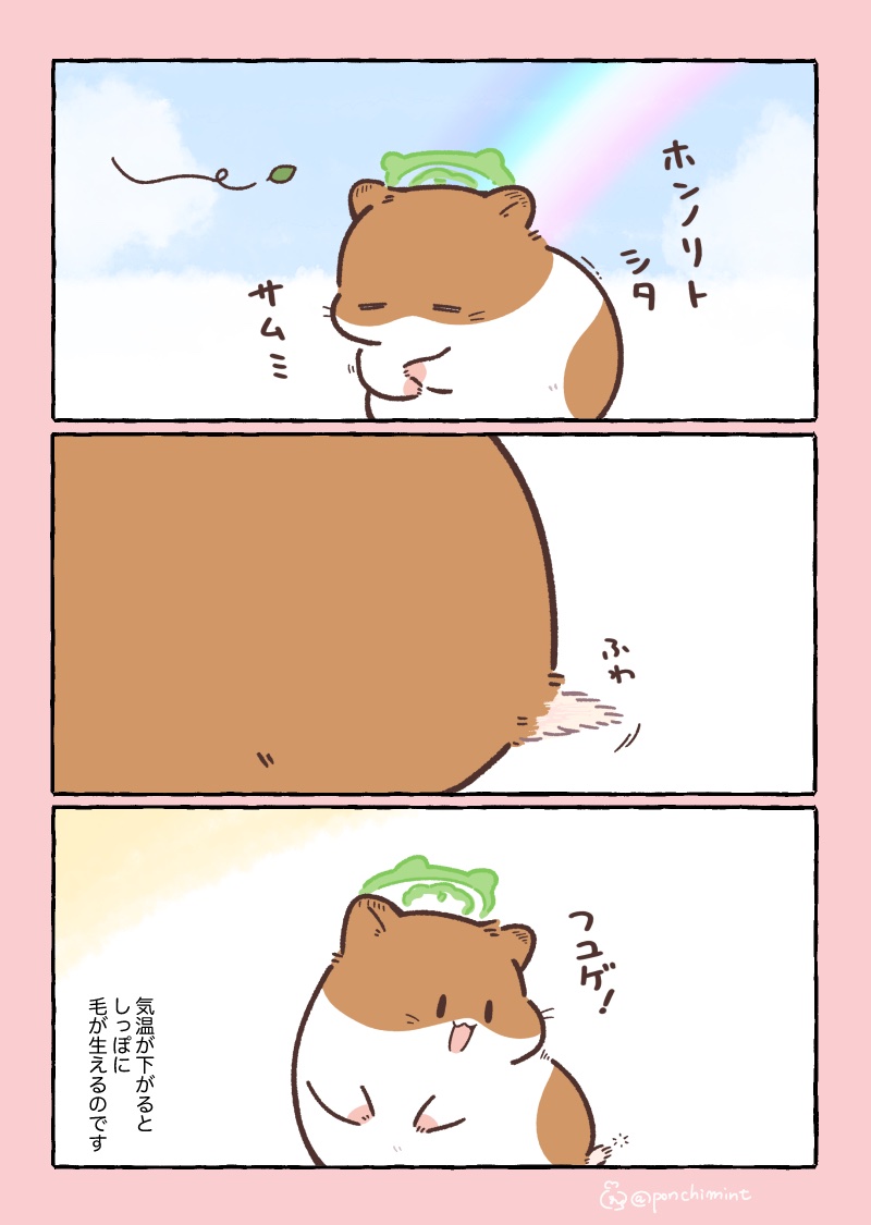ponchimint's tweet photo. ひまちゃんと天国の面接
ひまちゃんと秋のおとずれ https://t.co/nkKjENvpOT