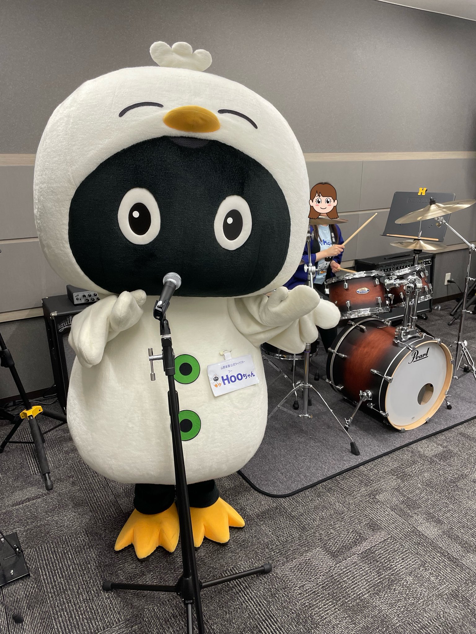 Hooちゃん🐤🎶【山野楽器公式キャラクター】 on X: 