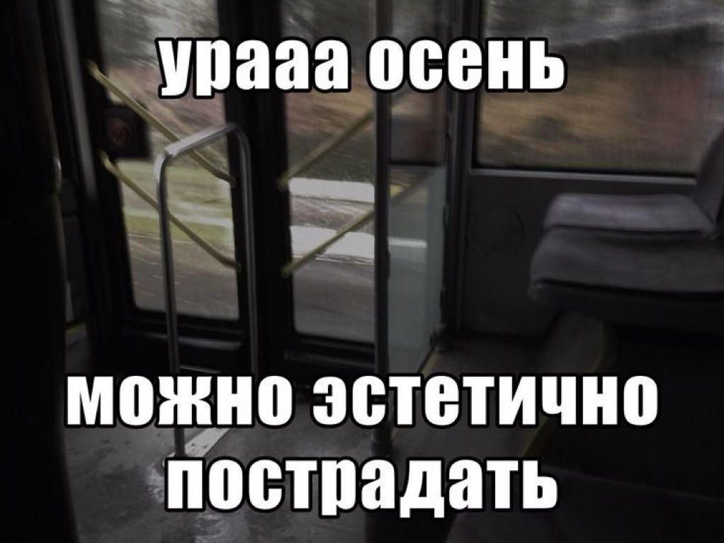 Amiixju's tweet photo. My vibe: https://t.co/76zB2pYbXQ