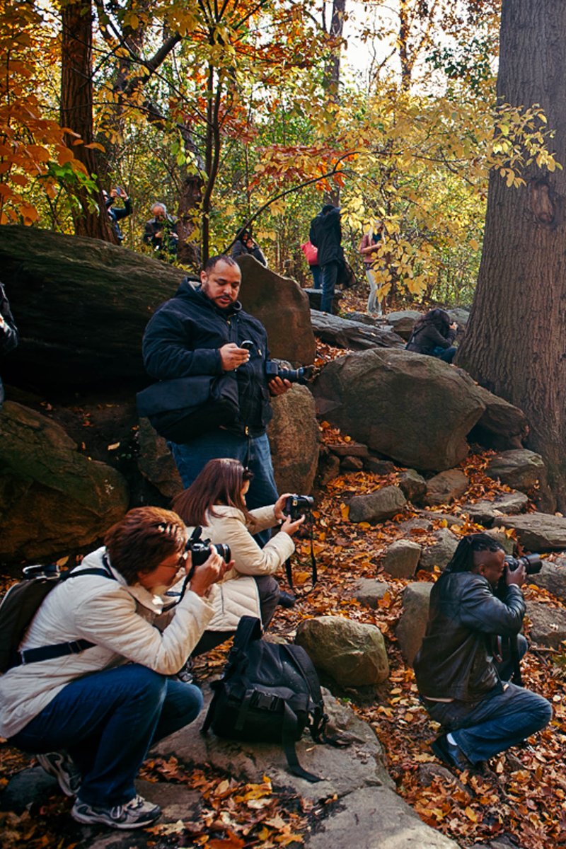 shennuo521's tweet photo. Our Photography Club's autumn photo walk is this Sat! Meet at Central Park at 9 AM—bring your camera, snap fall foliage u0026 chat with fellow photo lovers! Don’t miss it! https://t.co/1vhbSsHm9b