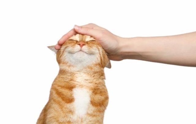 urrrinal's tweet photo. prrrrr.. prrrr.. prrrrr.. https://t.co/EiGuixTtfn
