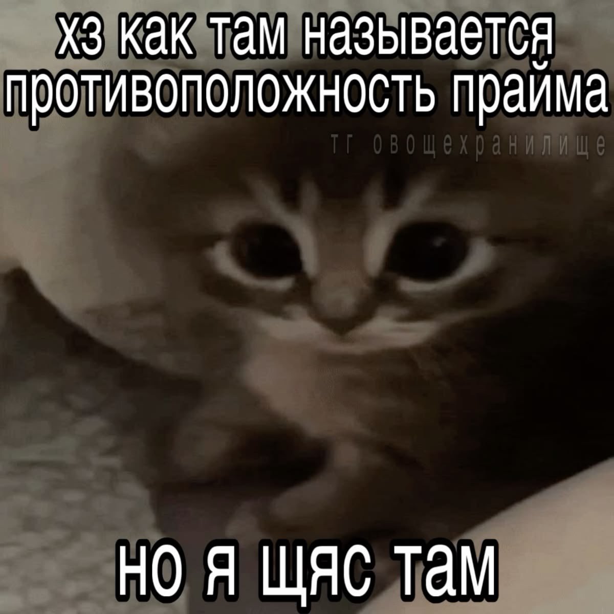 dlkydnmg's tweet photo. https://t.co/V4Vdx60KCL