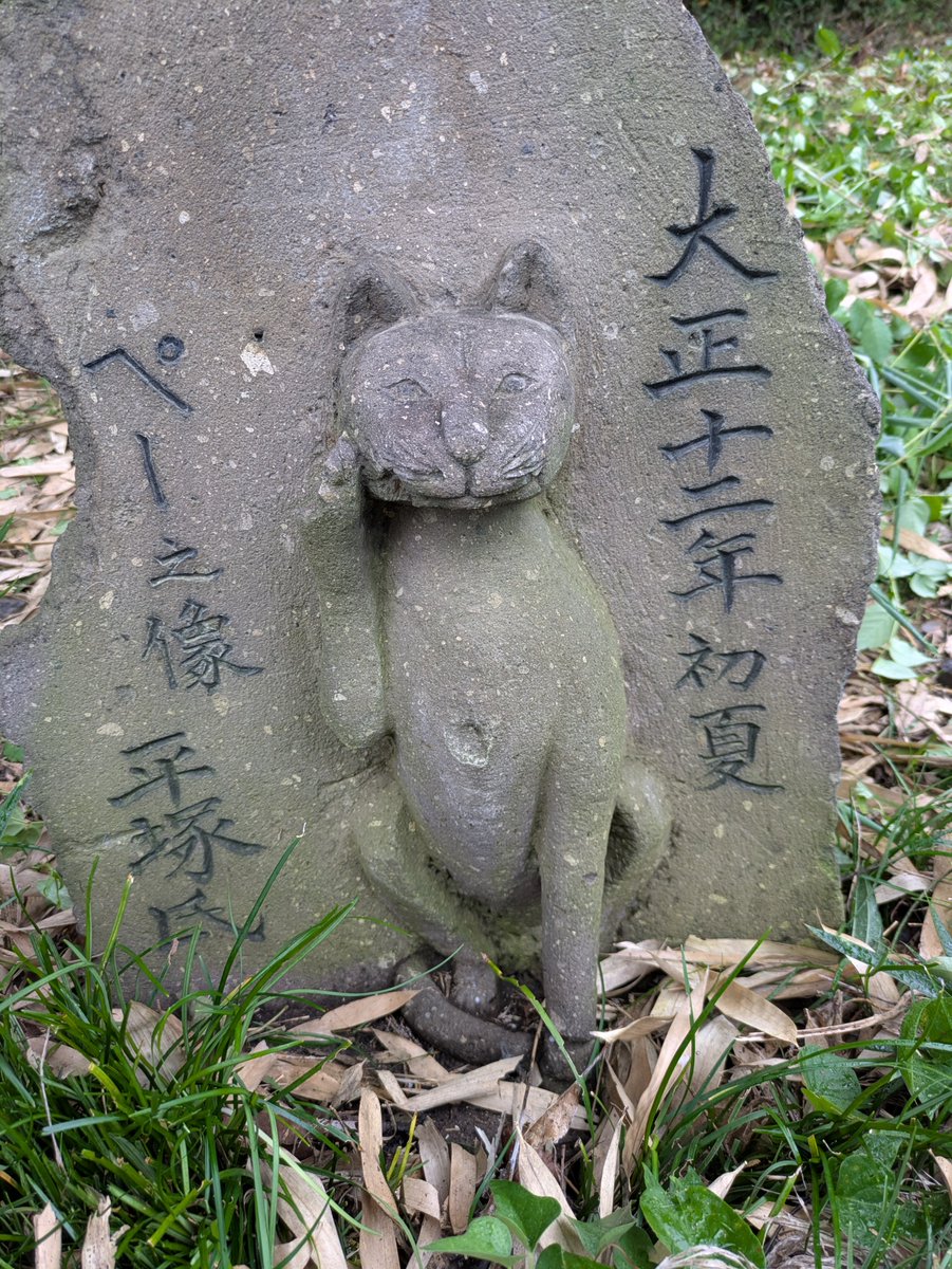 2tmM6XPR2YizI8W's tweet photo. ⁡ぺーちゃんの安否確認してきました🐱🩷⁡
⁡所有者さんが自分の敷地に移動すると聞いたのですが、まだ移動してなくて会えました⁡
⁡良かった⁡
⁡石巻市の石工 平塚さんが福島県に出稼ぎに来て、故郷には帰らず、そのまま石材店を構えました。⁡ https://t.co/yTfJZJ3iZh