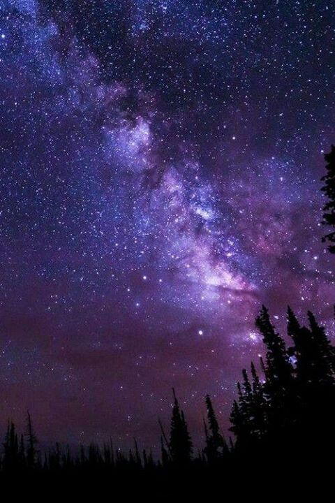 moonmad33's tweet photo. ~ #nsfwtwt #nsfwtwtًً  #nsfwtwtً  intro ~

🌒 21, she/they 🏳️‍⚧️ (not new to nsfwtwt!)
🌒 pan (switch, sub+)
🌒 DO NOT INTERACT minors (or in hs/secondary), cis men (READ Y'ALL), pedos, zoos, bigots, shedtwt
💖 4 possible dm (moots dm anytime!), 🔄 4 possible moots (semi-selective) https://t.co/soN8ipYjPS