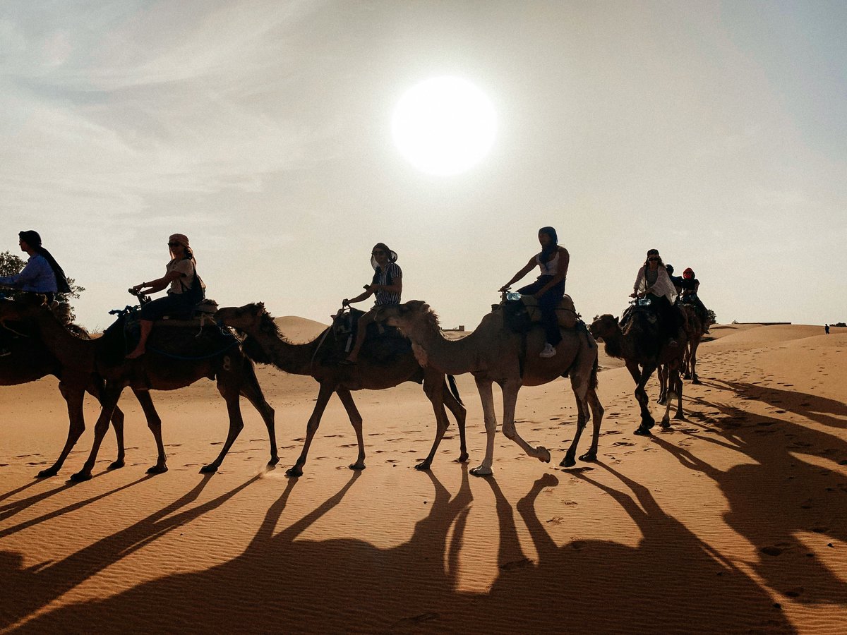 exploreittours's tweet photo. Explore Morocco with local guides 🇲🇦

Private tours from Marrakech, Fes, Casablanca &amp; Tangier. Ride camels, visit kasbahs, and sleep under Sahara stars.

Book your Morocco adventure: https://t.co/rIfmbYxUBk

#MoroccoTravel #SaharaDesert #TravelAdventure https://t.co/02ggwllilE