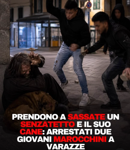 _kenneth445's tweet photo. Arriverà sicuro la toga rossa che condannerà il senza tetto perchè non avrebbe dovuto trovarsi lì con il suo cane quindi non rischiava nulla

Notate bene che nella cultura islamica il cane è impuro al che la domanda mi sorge spontanea:

Se il cane è impuro gli islamici cosa sono? https://t.co/jCyYJajtZu