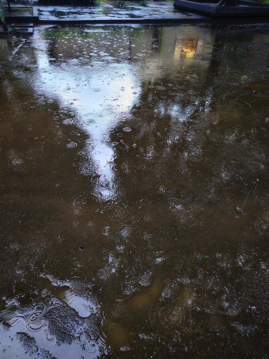 there836's tweet photo. 282 #raintexture #reflectionunderfoot https://t.co/BLlFxBE4oL