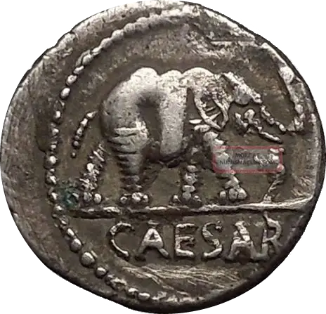 FindRareCoins's tweet photo. The Julius Caesar Elephant Denarius is wild, a 2,000‑year‑old silver coin showing an elephant stomping a serpent. Minted as Caesar crossed the Rubicon.
History doesn’t get more metal than this!
https://t.co/481Xiwx5ic

#AncientCoins #ElephantDenarius #JuliusCaesar #Numismatics https://t.co/vkco3cbSZW