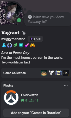 Fated_Vagrant's tweet photo. Playing ow with favoomf for 8 hours straight🙏🙏 https://t.co/S1fsbKi086