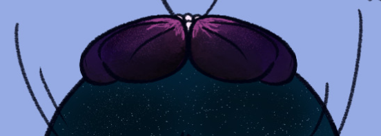 stratos_imp's tweet photo. find the colored 2nd image here: https://t.co/WkBwGLJGbx
this one of those posts i can't exactly provide a decent preview for lmao https://t.co/BNREOALfLg
