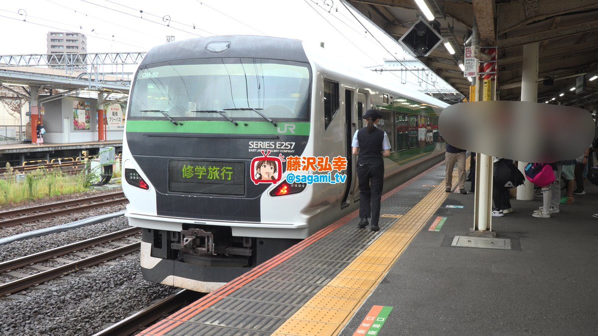 sagami_tv's tweet photo. 坂井泉水さんも乗車した秦野の修学旅行列車❝秦野臨❞

坂井さんと同級生だった方から聞いたところ当時も走っていたとのことで歴史ある列車

小田急とＪＲでそれぞれ運行

ＪＲでは特別なＬＥＤや垂れ幕を出すなどの歓迎っぷり

小田急は今年から６連の停止位置が変わり後ろがややカツく😅

#坂井泉水 https://t.co/oG9HekxTQJ