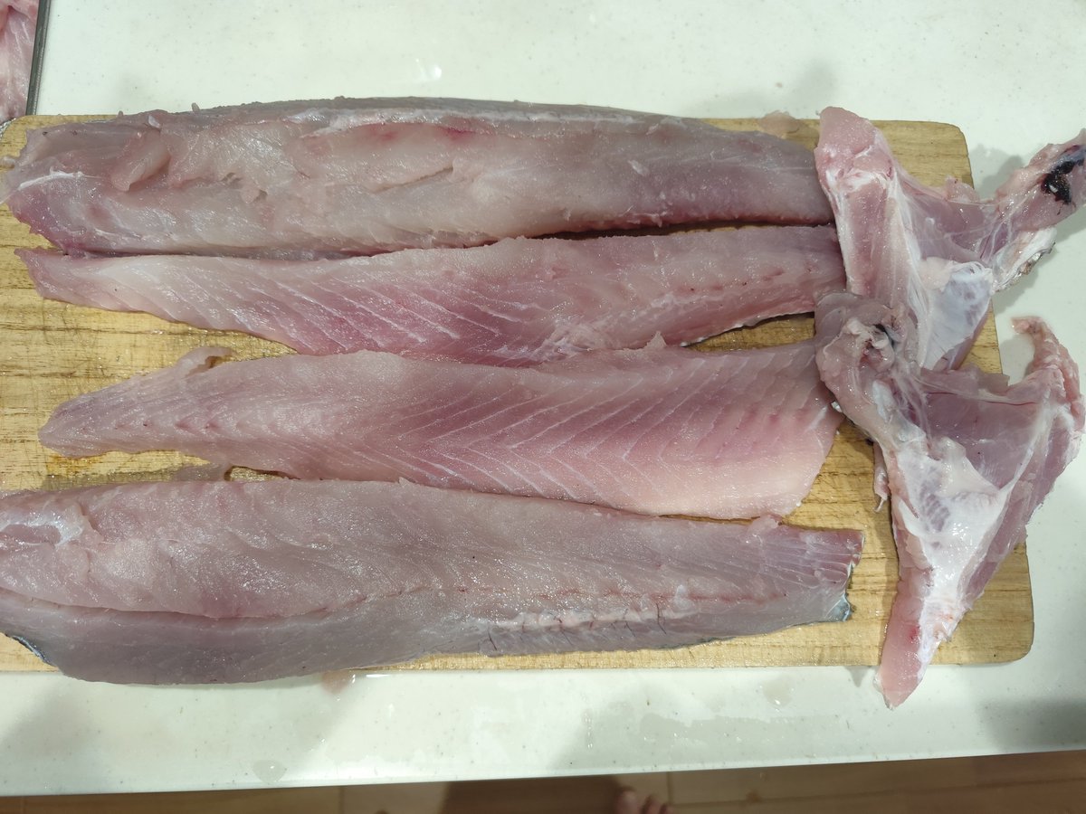 cooking_bear2's tweet photo. 会社の人から70cmクラスのスズキを頂きました🐟

捌く���も一苦労🙂‍↕️ https://t.co/WATL41MpPr