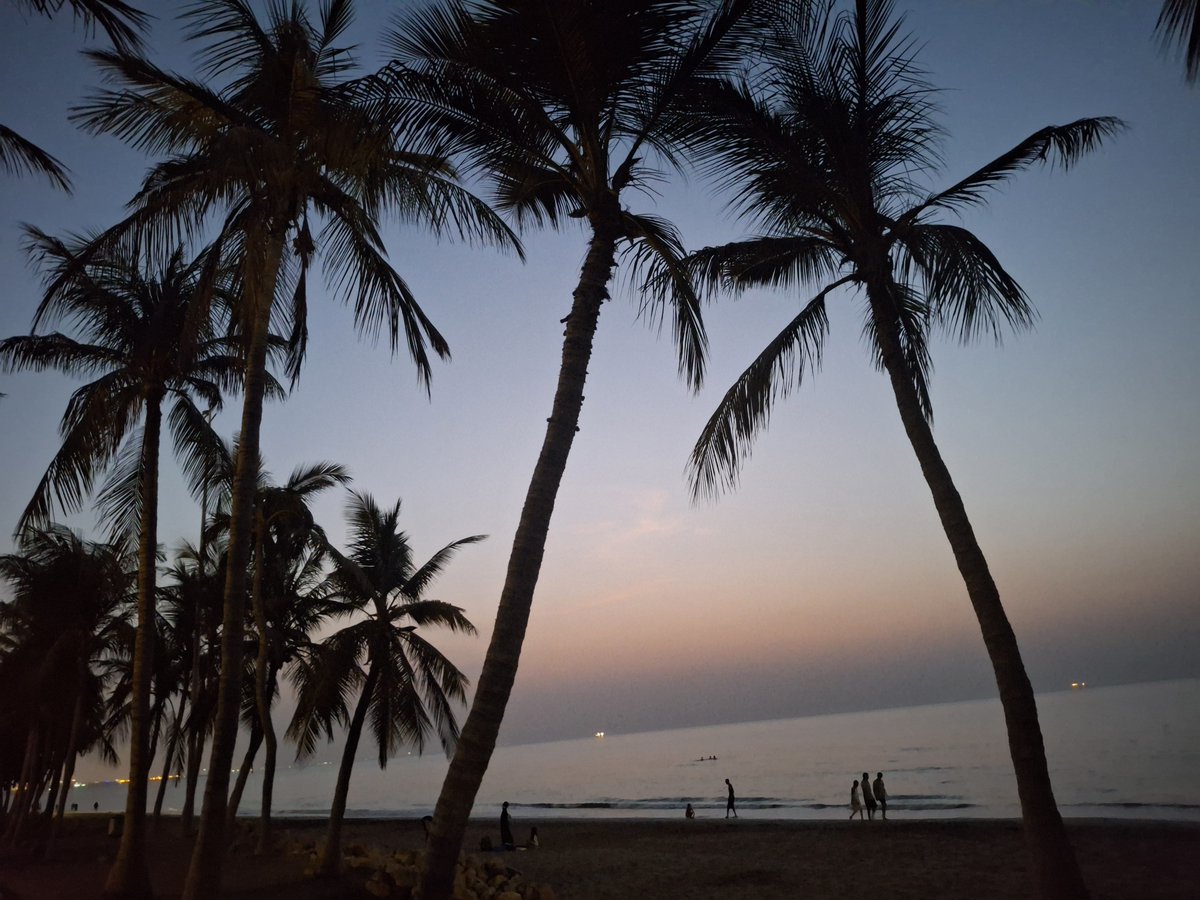ihatecoconuts4L's tweet photo. https://t.co/HVJnE1eVZf